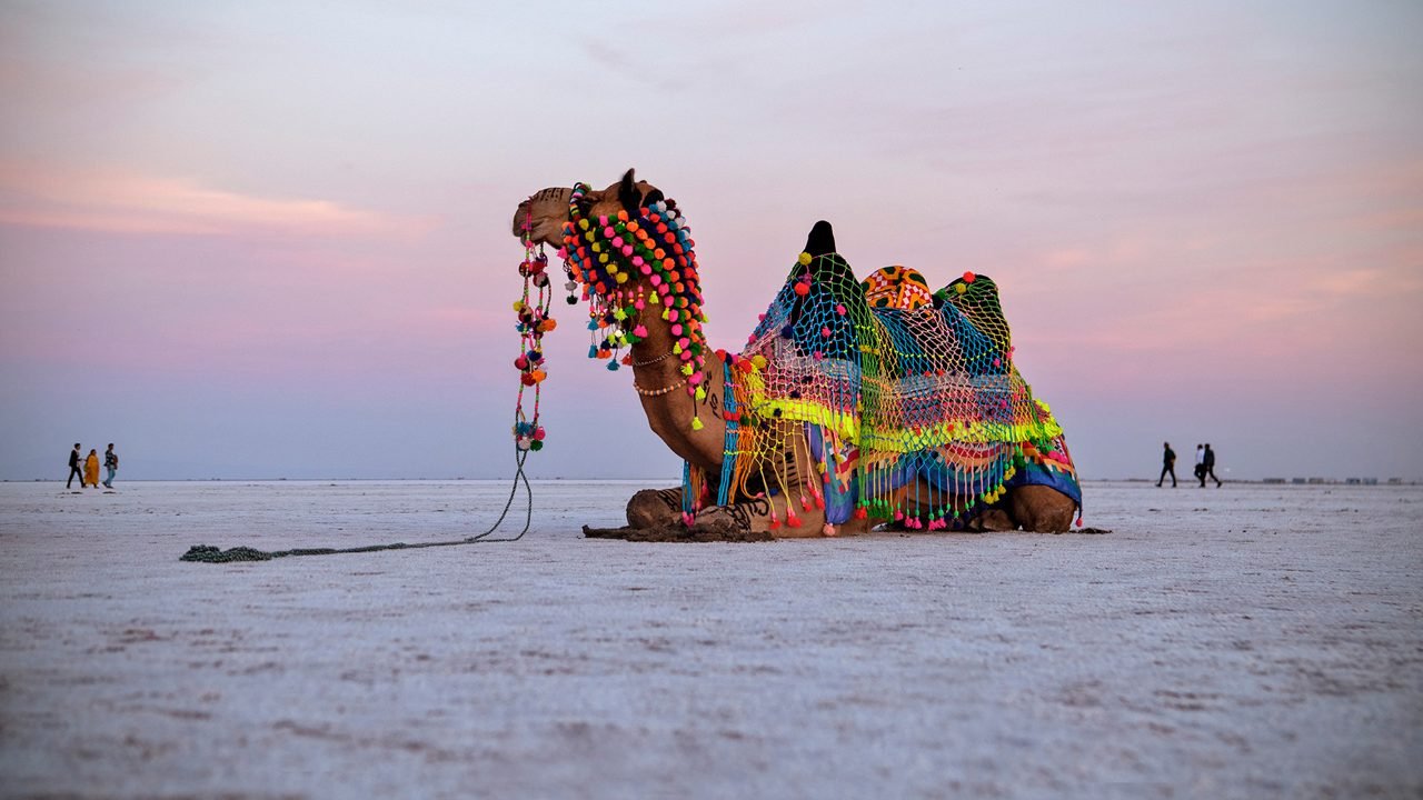 Rann of Kutch